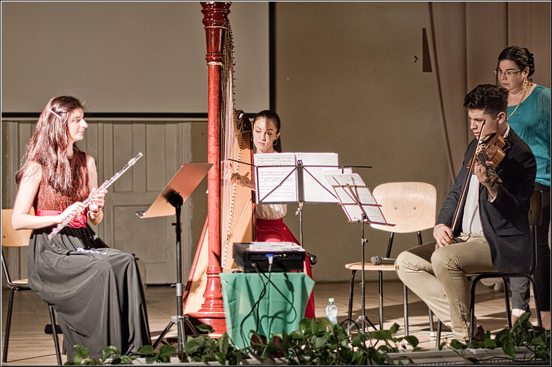 serbanvornicu_noapteamuzeelor_08