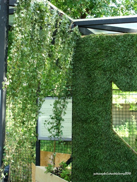 dsc03931streetdelivery16