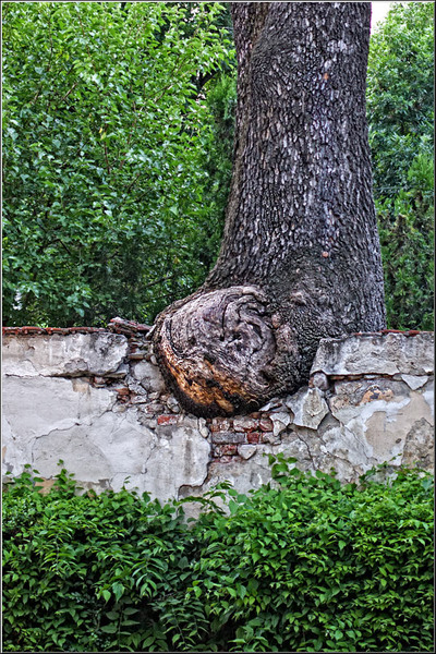 serbanvornicu_noapteainstitutelorculturale_15