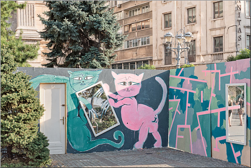 serbanvornicu_kulturama_8