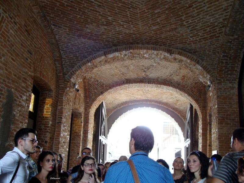 dsc05722cartievreesc