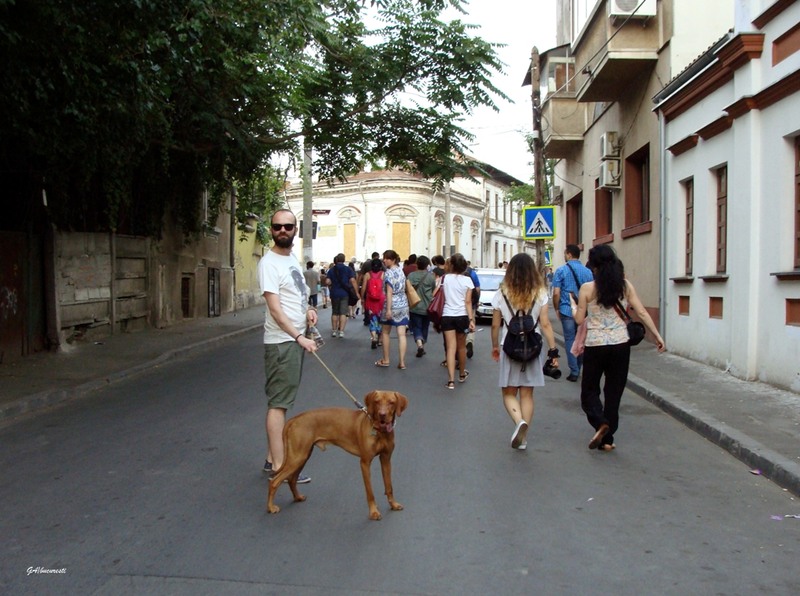 dsc05827cartievreesc