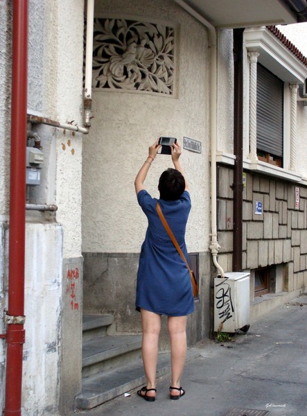 dsc05830cartievreesc