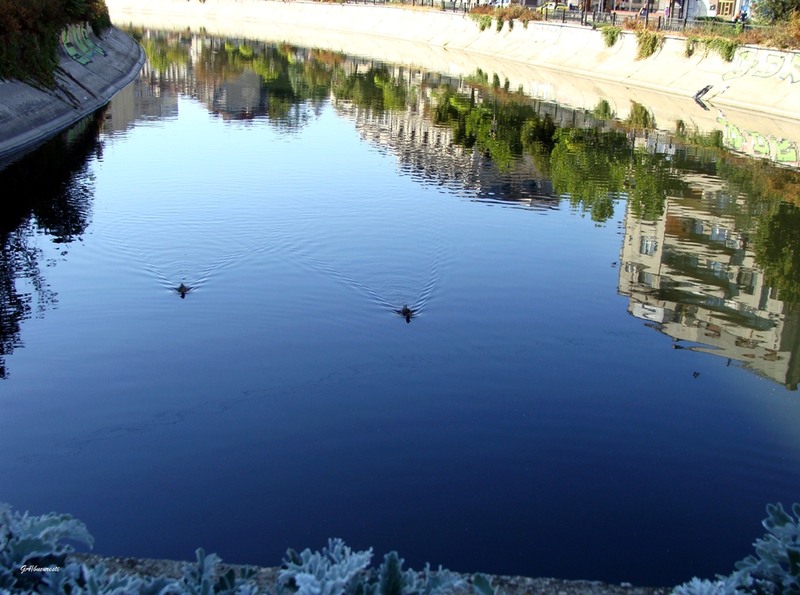 dsc06069dambovitaunirii