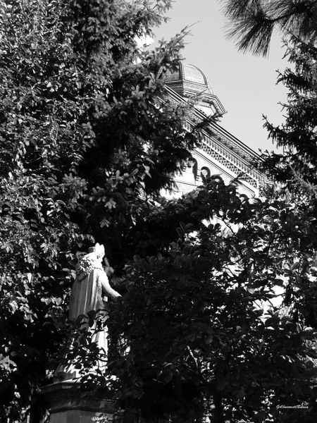 dsc06074domnitabalasa-a-n