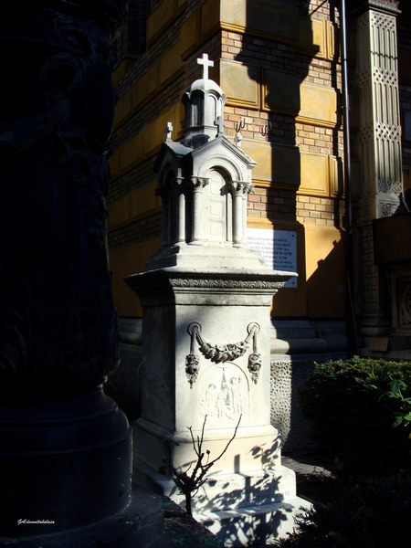 dsc06079domnitabalasa