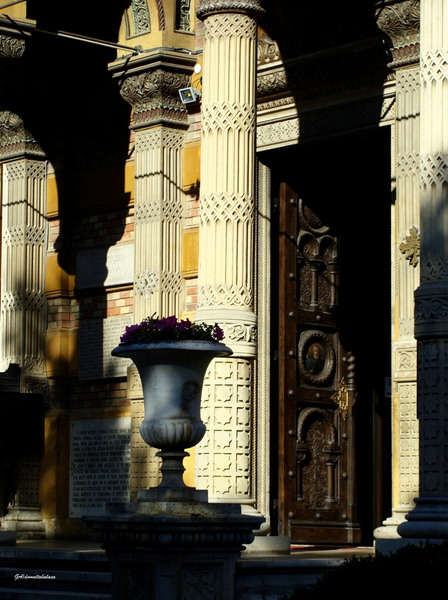 dsc06101domnitabalasa