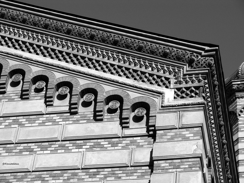 dsc06104domnitabalasa-a-n