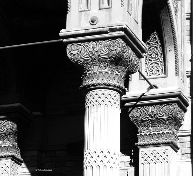 dsc06106domnitabalasa-a-n