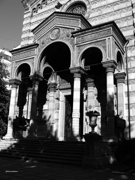 dsc06107domnitabalasa-a-n