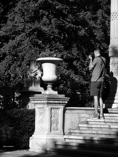 dsc06109domnitabalasa-a-n