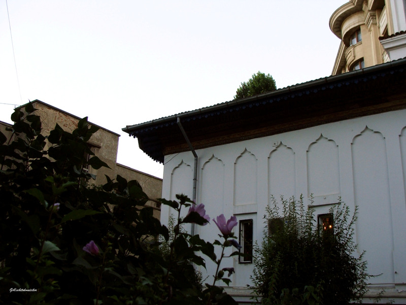 dsc06137schitulmaicilor