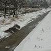 20100123_dopr_01