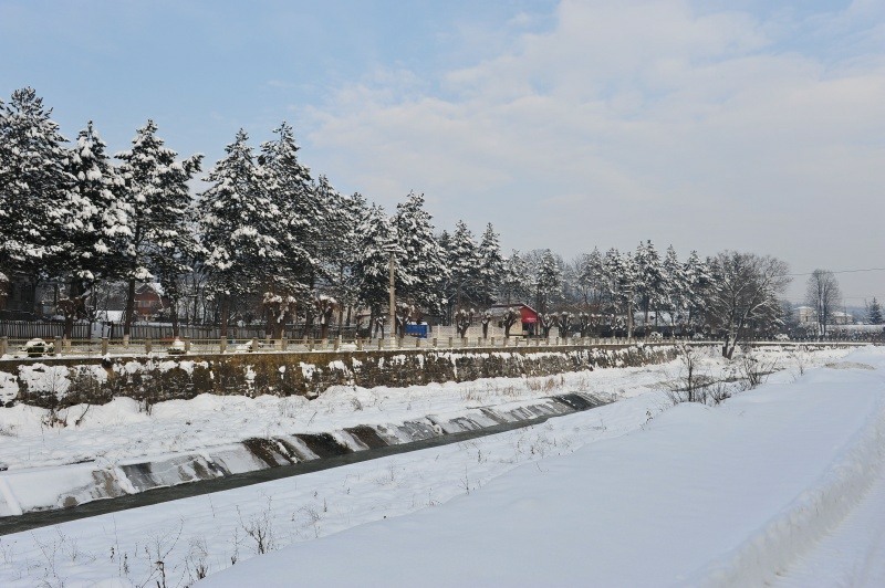 20100123_dpop_02