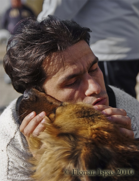 catalin-si-ciinele-lup