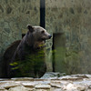zoo_dm_003