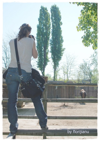 6-ce-poti-face-cu-un-tele