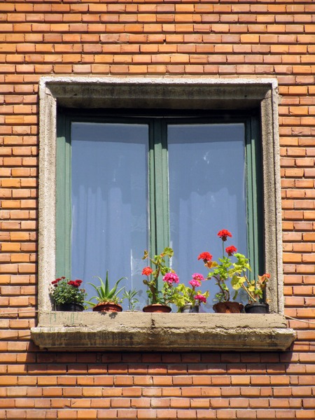 20090606_cpopescu_04