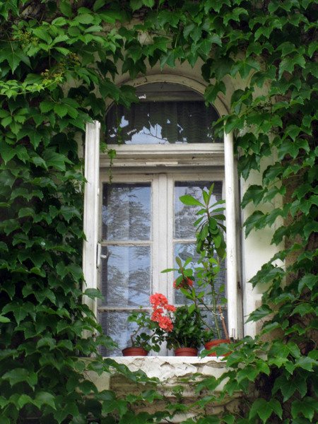 20090606_cpopescu_05