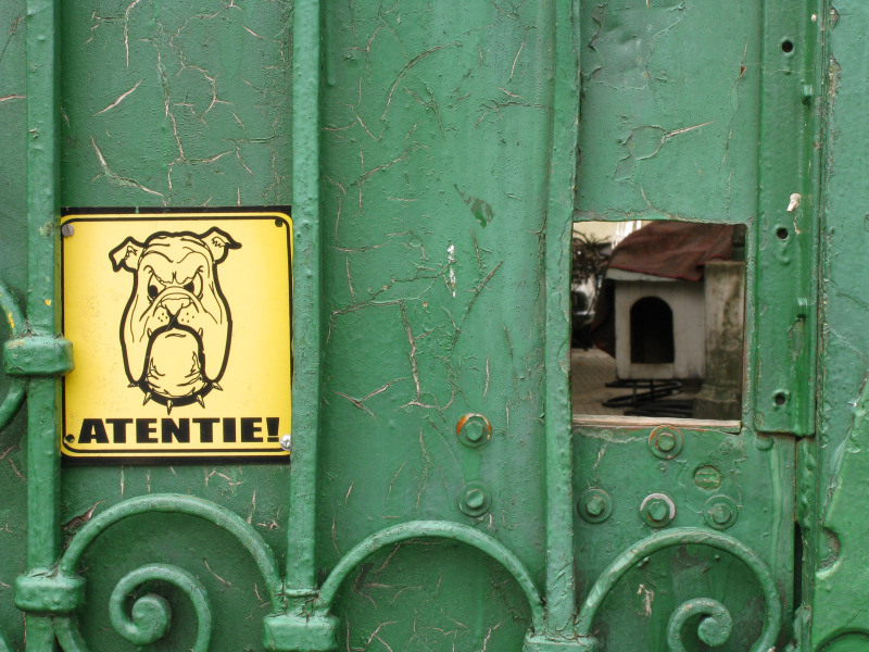 20090606_cpopescu_08