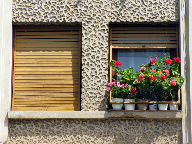 20090606_cpopescu_10