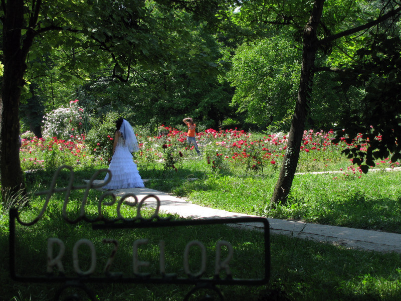 20090606_cpopescu_13