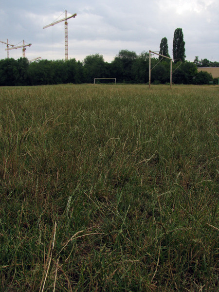 20090627_cpopescu_18