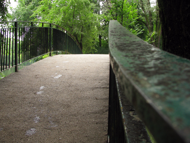 20090627_cpopescu_19