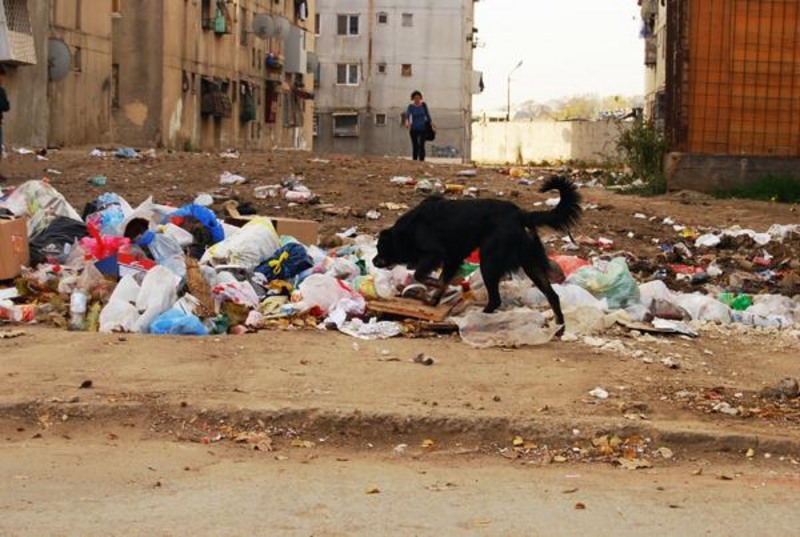 20081101_madalinam_04