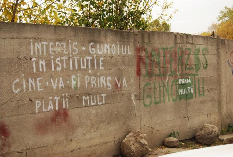 20081101_madalinam_07