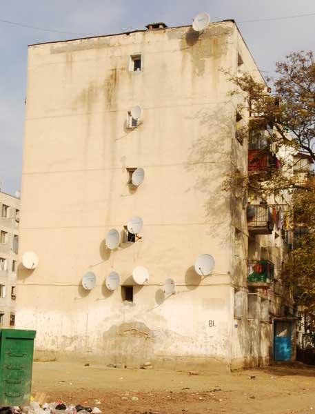 20081101_madalinam_18