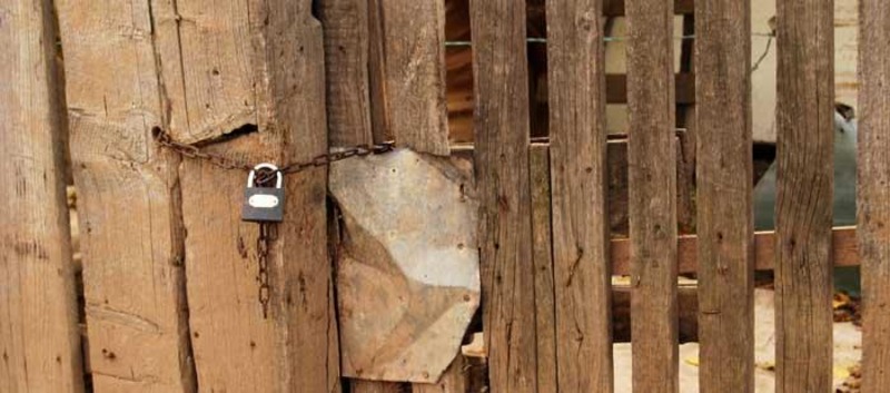 20081101_madalinam_23