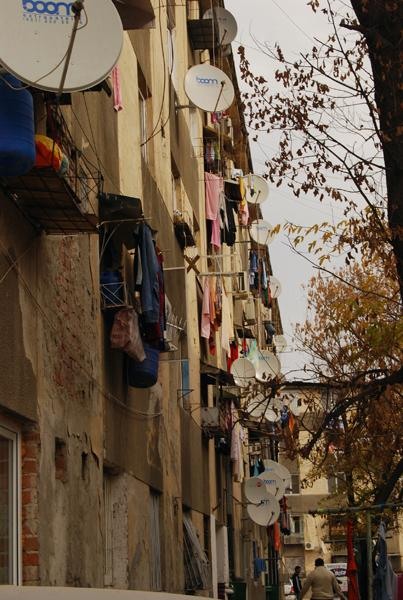 20081101_madalinam_25