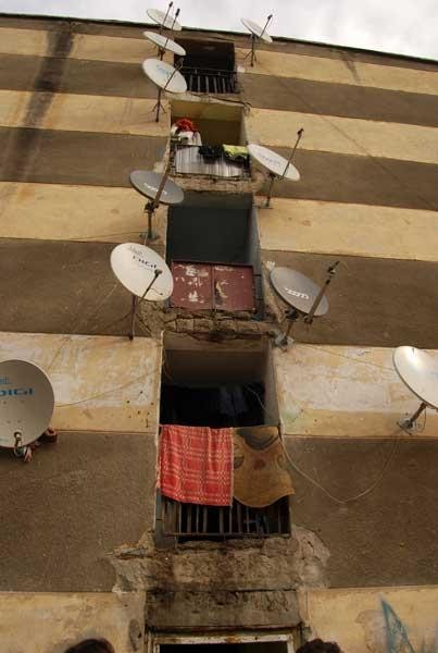 20081101_madalinam_26