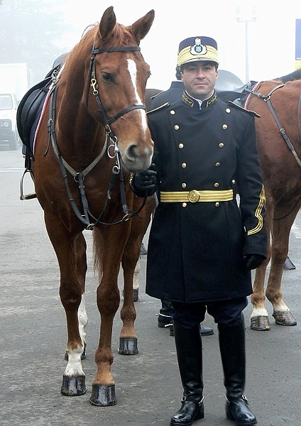 20081201_cristinad_07