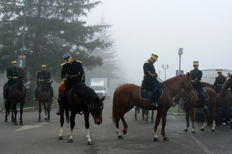 20081201_cristinad_08