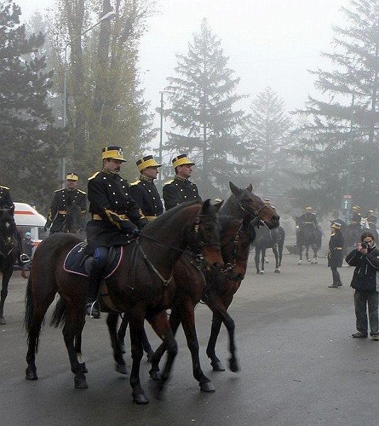 20081201_cristinad_09