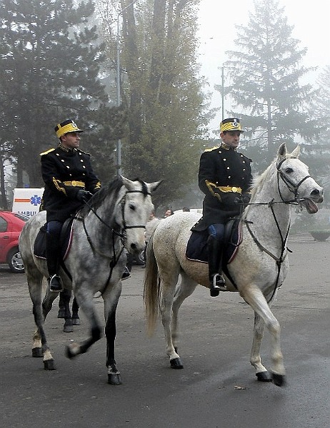 20081201_cristinad_10