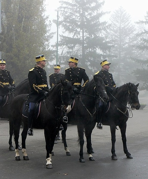 20081201_cristinad_11