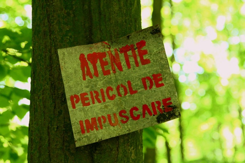 În ciuda atenționărilor repetate, am mers...