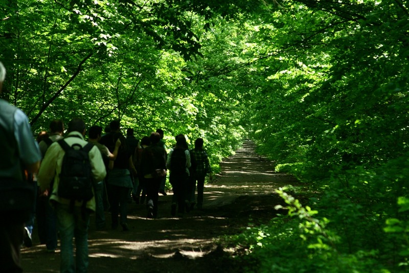 A trebuit sa ne intoarcem, sa mai mergem prima la dreapta, etc, etc