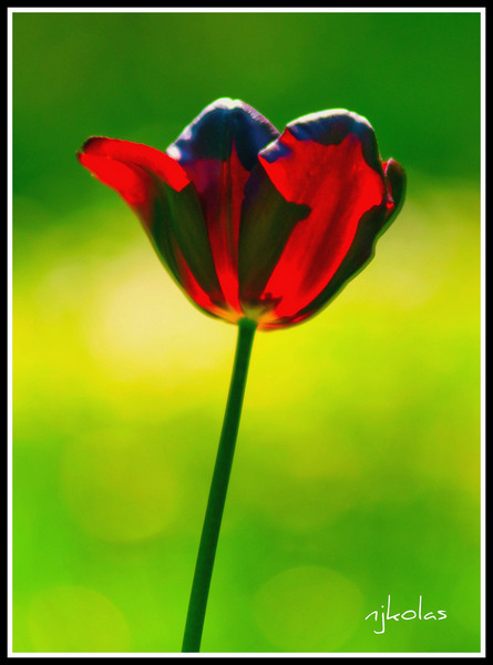 4568075073_3e87b593fd_b