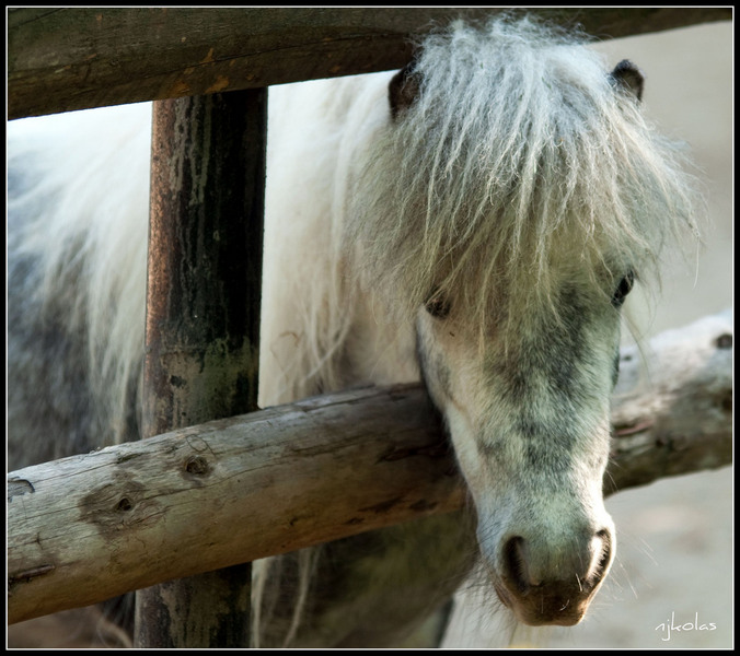 4568075089_5128d54857_b