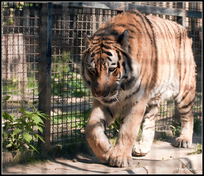 4568135823_6f48790df3_b