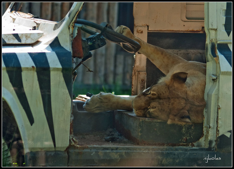 4568135845_5f3fd13f7b_b