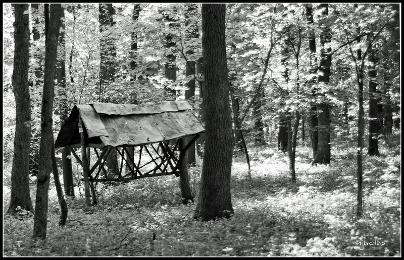 4568315163_b056dfd22d_b