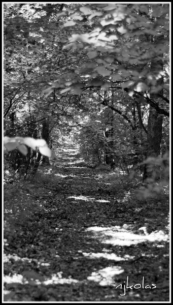 4568315177_e3b5fefde6_b