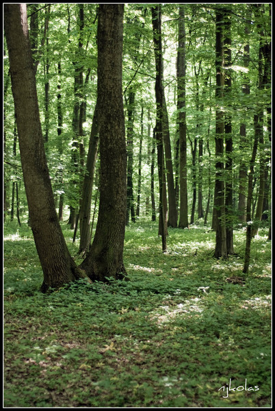 4568315181_01540ec5f7_b