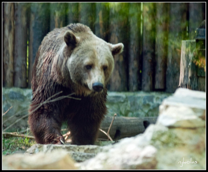 4568818044_f59a4ee4b6_b