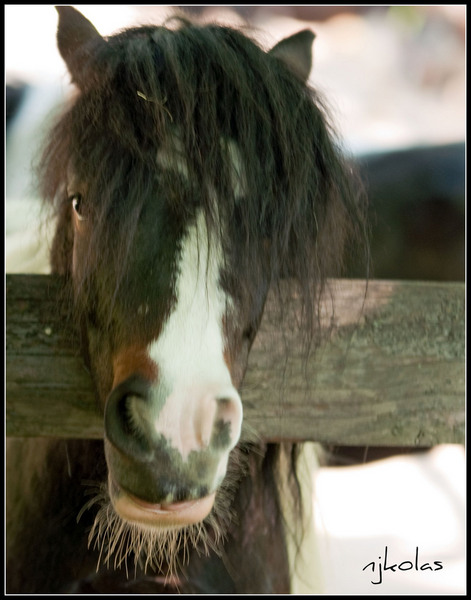 4568818046_b3ab8b8a73_b